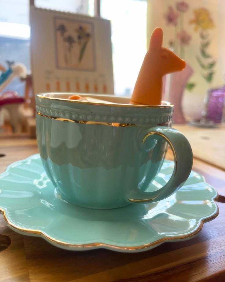 Opinion: Why We Read & The Books We&nbsp;Keep