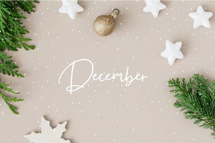 Wednesday: December 11,&nbsp;2024