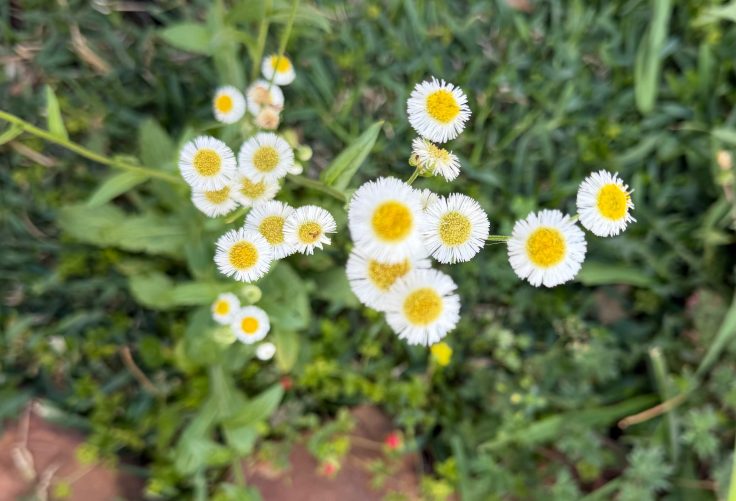 Goodbye Winter, Hello Spring&nbsp;2026