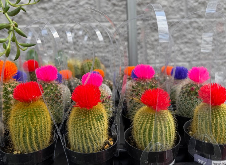 Monthly Recap: March&nbsp;2026